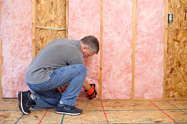 Best Spray Foam Insulation  in North Mankato, MN